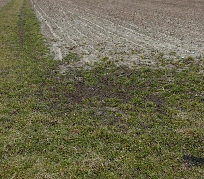 Działka w doskonałej lokalizacji-5 min. od Zalewu