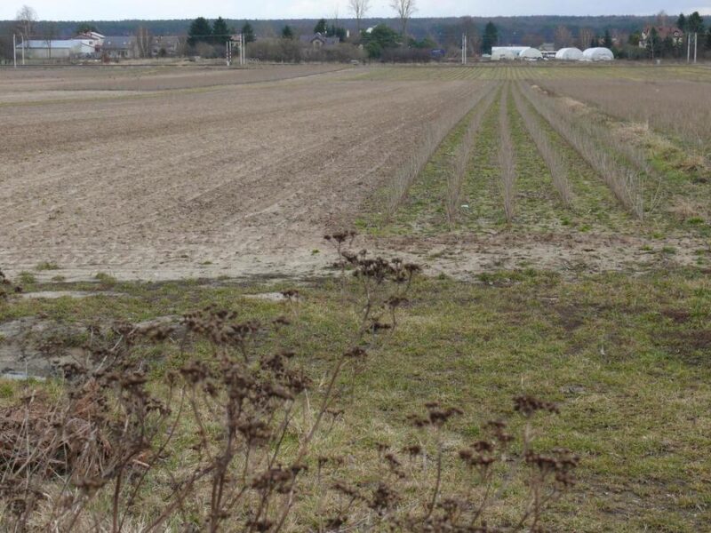 Działka w doskonałej lokalizacji-5 min. od Zalewu - LUBLIN, LUBLIN, LUBELSKIE na SPRZEDAŻ