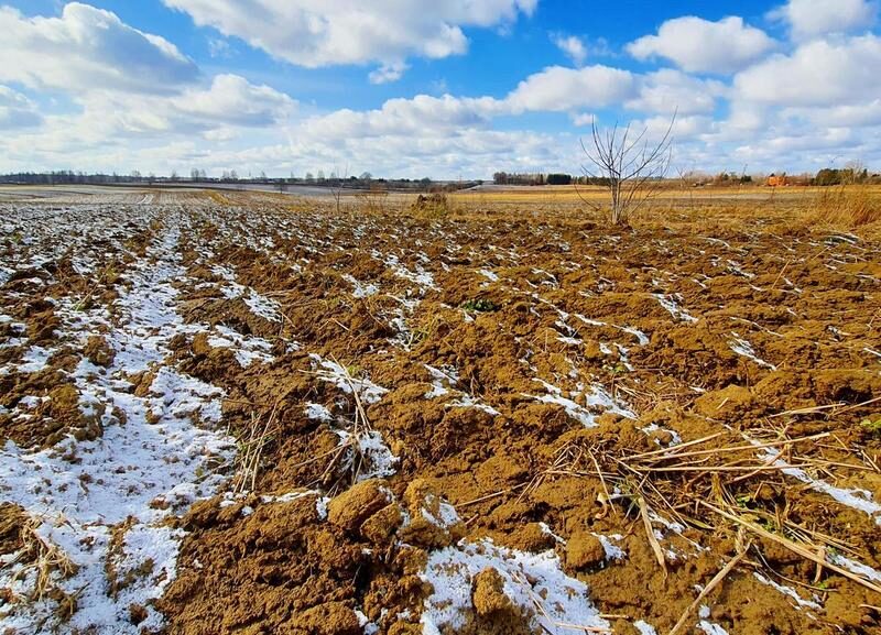 Działka budowlana Płouszowice Kolonia - 35ar - JASTKÓW, LUBELSKIE na SPRZEDAŻ