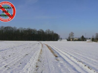 Krężnica Jara 8km od Lublina. 8000m2