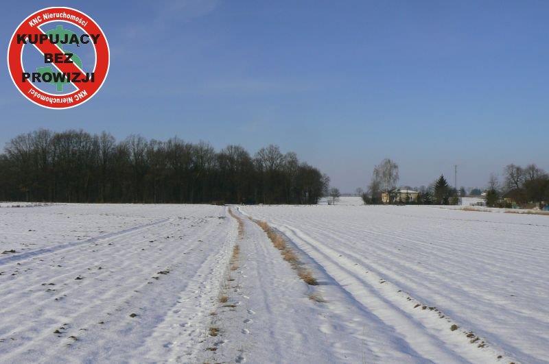 Krężnica Jara 8km od Lublina. 8000m2 - KRĘŻNICA JARA, NIEDRZWICA DUŻA, LUBELSKIE na SPRZEDAŻ