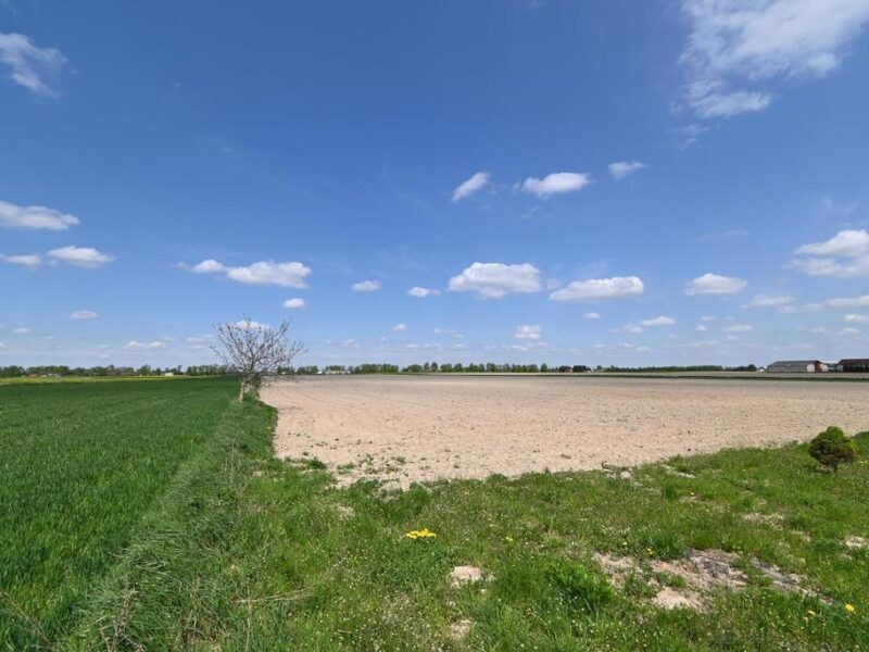 Stoczek Kolonia - Duża działka rolno-budowlana w doskonałej lokalizacji.~~42 ary w gminie Niemce - Stoczek Kolonia.~Działka szeroka, z dostępem do niedalekich m- STOCZEK, NIEMCE, LUBELSKIE na SPRZEDAŻ