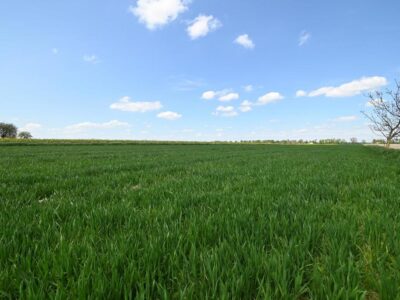 PODOLE - Działka budowlana o powierzchni 13,4 arów.
