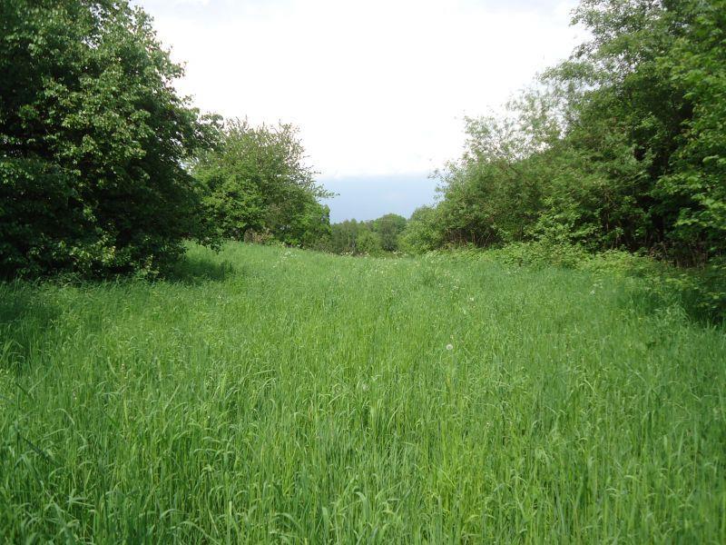- ŚWIDNIK, LUBELSKIE na SPRZEDAŻ