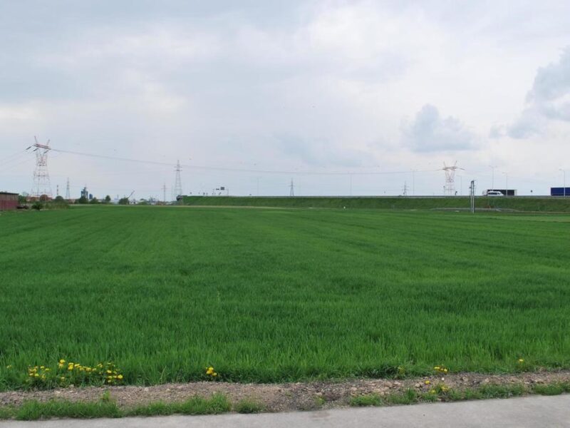 Działka budowlano-usługowa o powierzchni 45 arów przy obwodnicy Lublina. ~~Działka:~-powierzchnia: 4500 mkw,~- wymiary: 41m szerokości na 110m długości,~- ukszt- ŚWIDNIK, ŚWIDNIK, LUBELSKIE na SPRZEDAŻ