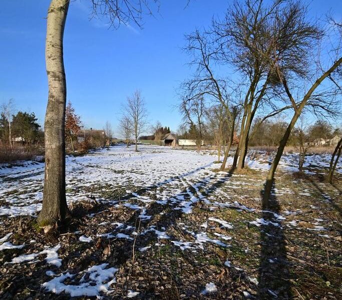 Gm. Wąwolnica - 100ar z projektem domu. - WĄWOLNICA, LUBELSKIE na SPRZEDAŻ