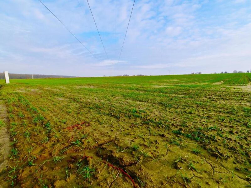 Działka 14ar pod zab. jednorodzinną - Zemborzyce