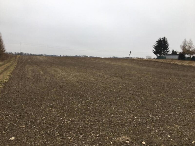 Działka 1.84ha Tomaszowice- Kolonia