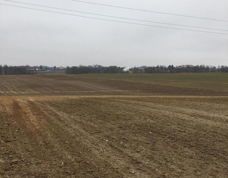Działka 1.84ha Tomaszowice- Kolonia