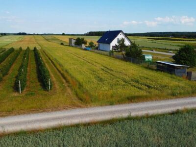 Borów Kol. Duża działka z możliwością uzyskania WZ