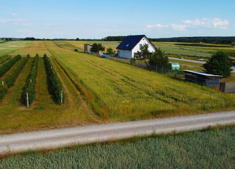Borów Kol. Duża działka z możliwością uzyskania WZ - BORÓW-KOLONIA, CHODEL, LUBELSKIE na SPRZEDAŻ