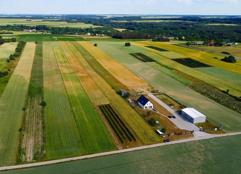 Właściwości:~- działka rolna (WZ możliwe do uzyskania)~~Wymiary i wygląd: ~- powierzchnia 1,17 ha~- prostokąt 17 x 620 metrów~- działka płaska~~Lokalizacja:~- B- BORÓW-KOLONIA, CHODEL, LUBELSKIE na SPRZEDAŻ