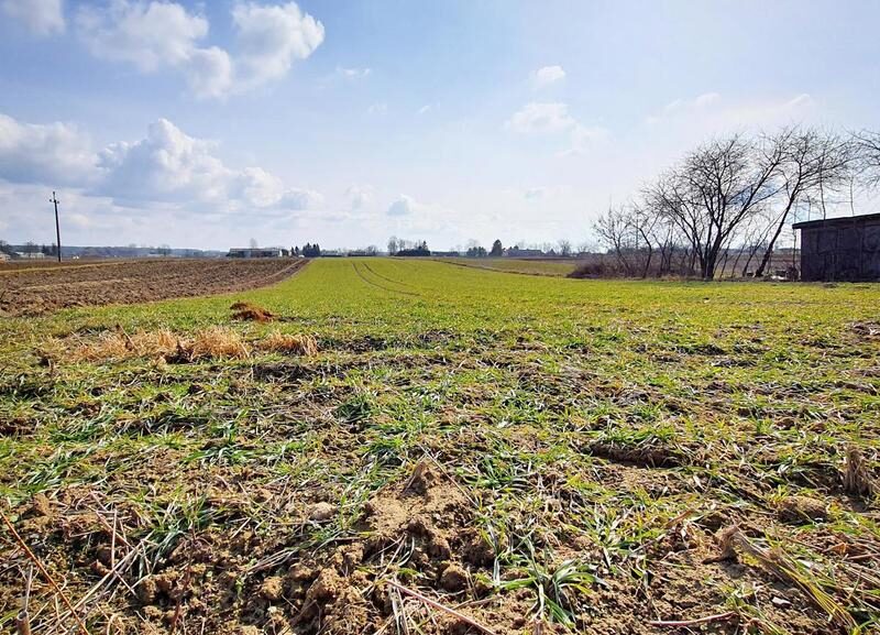 Działka pod zabudowę - Miłocin Kolonia - 47ar - MIŁOCIN, WOJCIECHÓW, LUBELSKIE na SPRZEDAŻ