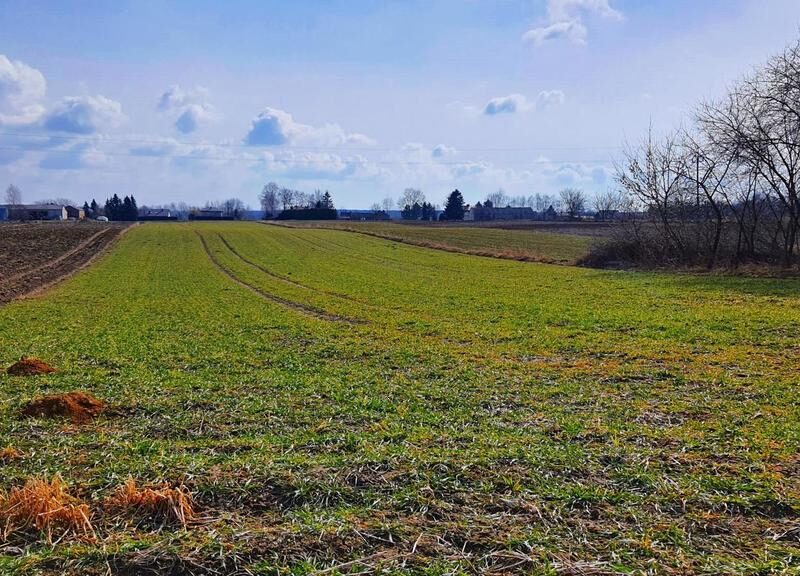 Miłocin - piękna działka pod zabudowę - 47 ar~~Pięknie położna działka z dobrym dojazdem do Lublina. Pierwsza linia zabudowy od drogi gminnej asfaltowej (droga - MIŁOCIN, WOJCIECHÓW, LUBELSKIE na SPRZEDAŻ