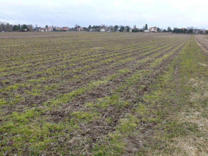 Działka w doskonałej lokalizacji-5 min. od Zalewu - LUBLIN, LUBLIN, LUBELSKIE na SPRZEDAŻ