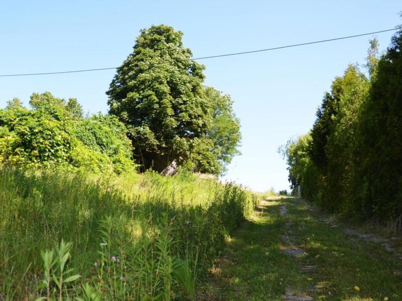 Działka rolno-budow. z szybkim dojazdem do Lublina