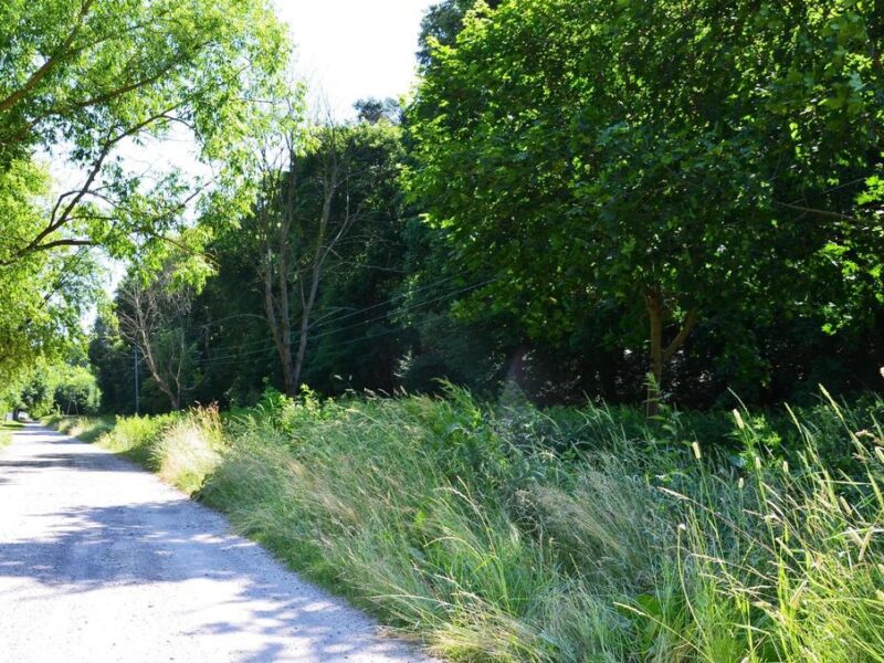 Działka rolno-budow. z szybkim dojazdem do Lublina - JASTKÓW, LUBELSKIE na SPRZEDAŻ