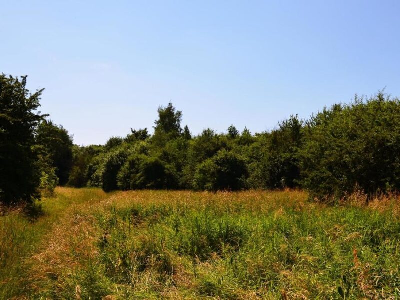 DZIAŁKA na SPRZEDAŻ, JASTKÓW, JASTKÓW
