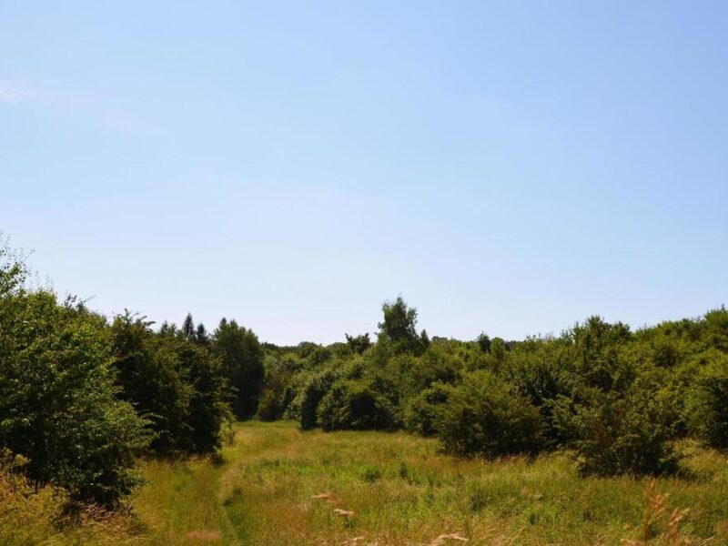 Działka rolno-budow. z szybkim dojazdem do Lublina