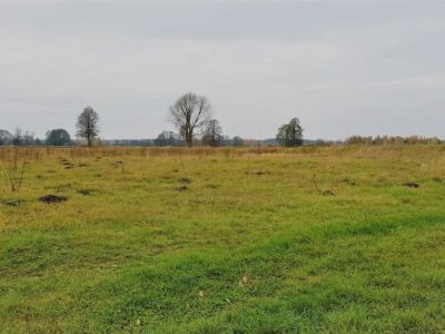 Samoklęski kol. Pierwsza - działka rolna