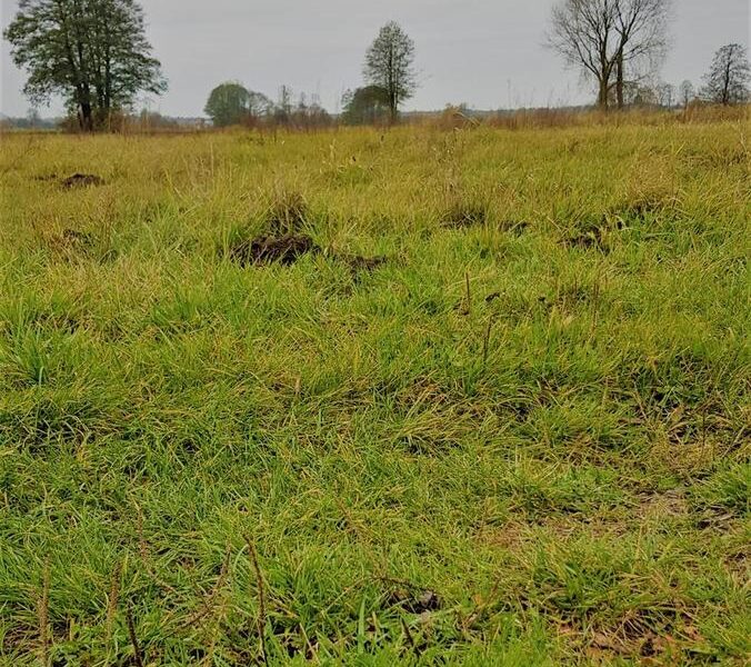 Samoklęski kol. Pierwsza - działka rolna