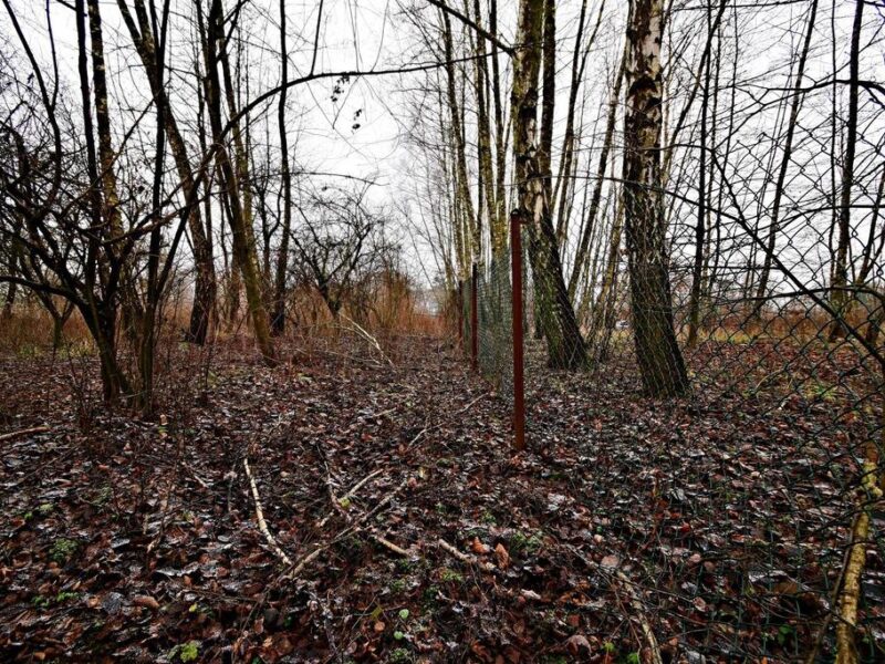 Pięknie położona działka pod budownictwo jednorodzinne w gminie Kazimierz Dolny~~65 arowa działka położona w dogodnej lokalizacji pod Kazimierzem Dolnym - Od ry- KAZIMIERZ DOLNY, KAZIMIERZ DOLNY, LUBELSKIE na SPRZEDAŻ