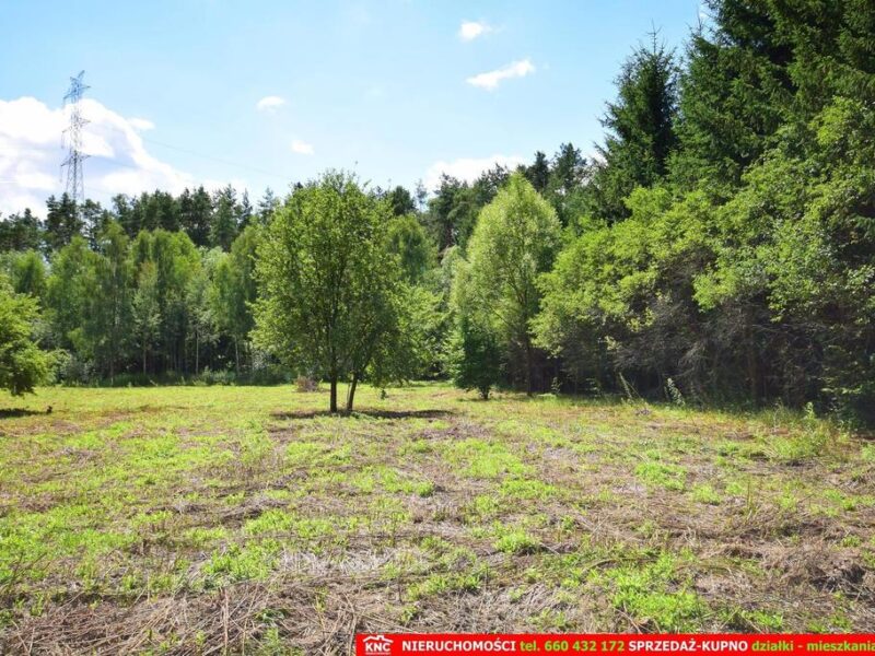 m. PLISZCZYN -  polecam do zakupu działkę o pow. 3000 m². Działka do wydzielenia, istnieje możliwość wydzielenia większej powierzchni do np. 5000 m². Działka zl- PLISZCZYN, WÓLKA, LUBELSKIE na SPRZEDAŻ
