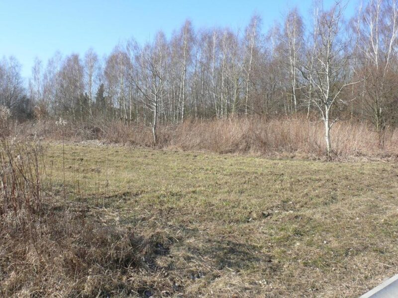 Działki budowlane w Nałęczowie. - NAŁĘCZÓW, NAŁĘCZÓW, LUBELSKIE na SPRZEDAŻ