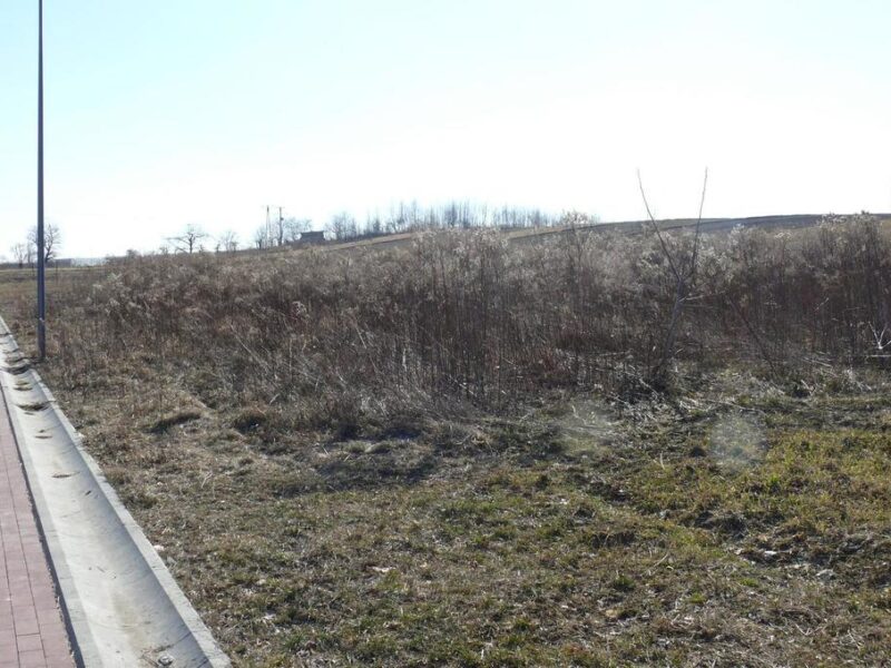 Nałęczów - polecam do zakupu dwie atrakcyjne działki budowlane o łącznej powierzchni 5343 m2 z możliwością zabudowy. Działki sprzedawane jako całość. Nieruchomo- NAŁĘCZÓW, NAŁĘCZÓW, LUBELSKIE na SPRZEDAŻ