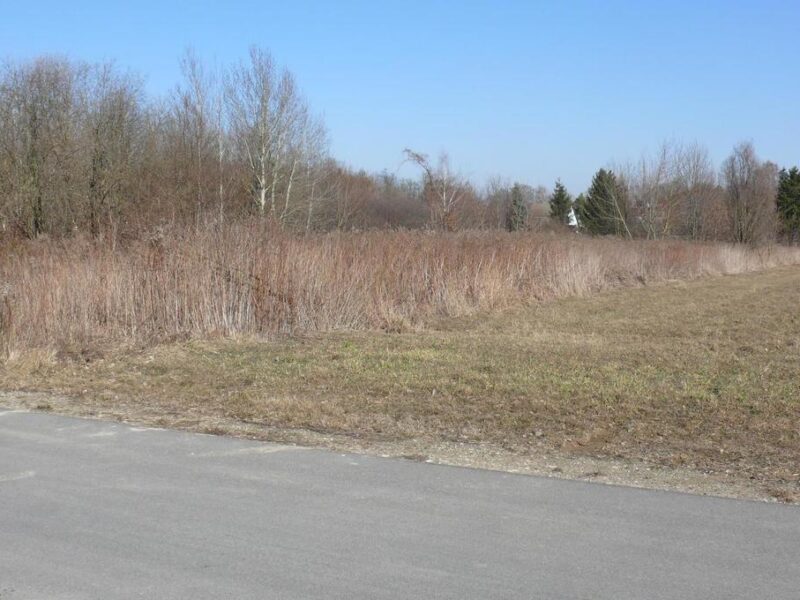 Działki budowlane w Nałęczowie.