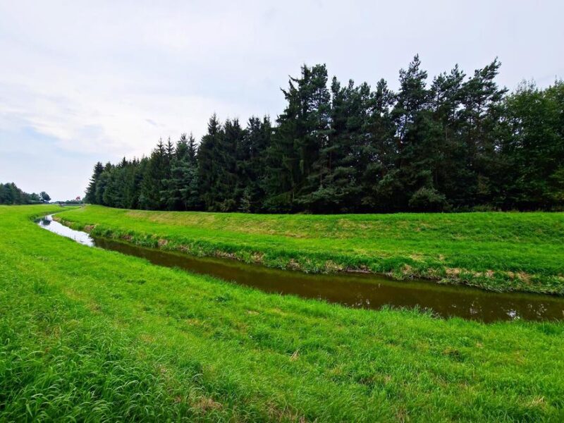Dąbrowa, gm. Ludwin - dwie piękne duże łąki idealne pod rekreację bądź jako inwestycja pod wydobycie torfu!~~Ponad 2ha terenu - wokół cisza, spokój i sama ziele- DĄBROWA, LUDWIN, LUBELSKIE na SPRZEDAŻ