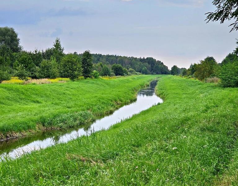 Łąki przy kanale - częściowo pod wydobycie torfu!! - DĄBROWA, LUDWIN, LUBELSKIE na SPRZEDAŻ