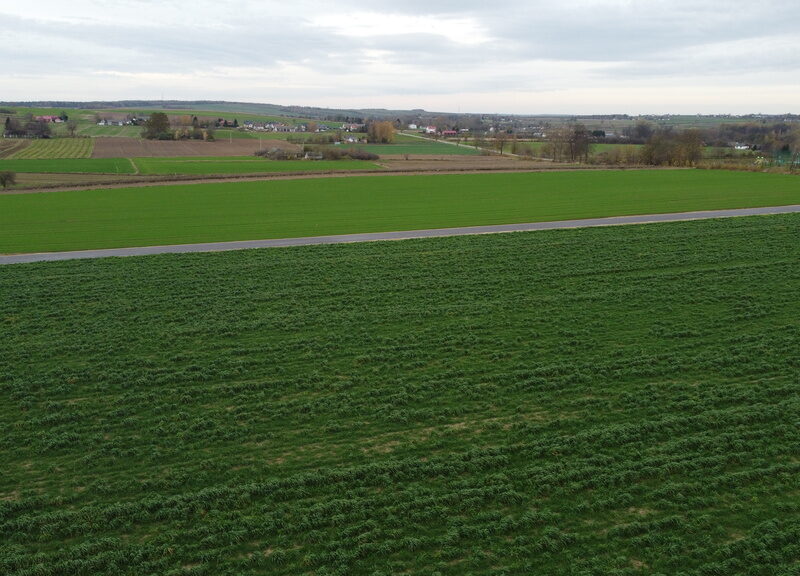 Działka, Zalesie, Wilkołaz, 11 ar, budowlana