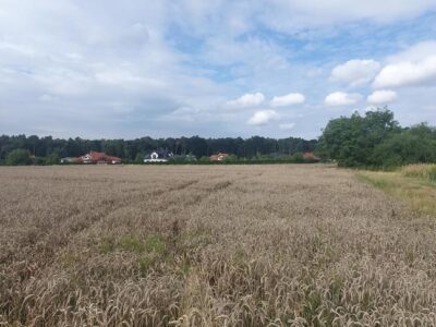 Piękna działka budowlana blisko lasu- 17ar-Świdnik