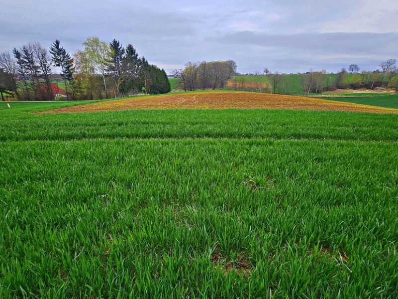 Działka na wzgórzu z niepowtarzalnymi widokami - JASTKÓW, LUBELSKIE na SPRZEDAŻ