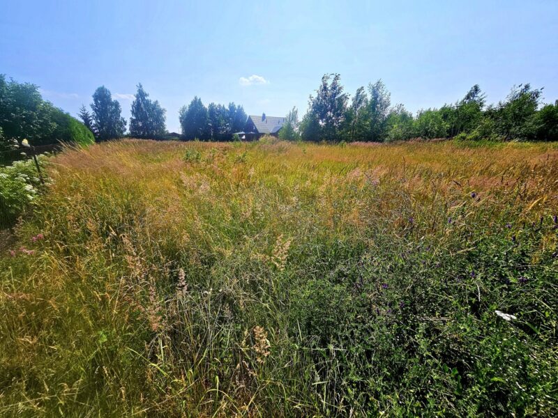 Działka nad Jeziorem Krasne - zabud. jednorodzinna - UŚCIMÓW, LUBELSKIE na SPRZEDAŻ