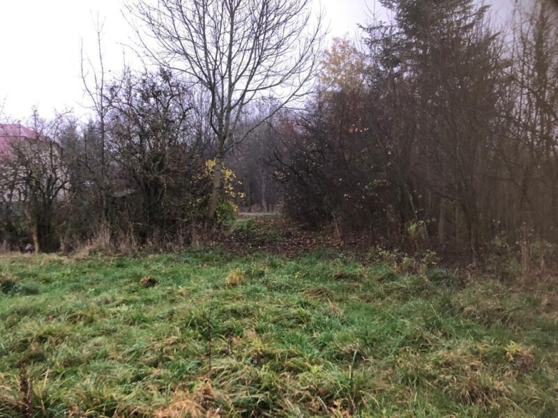 Anielpol - działka  5200m2 - ANIELPOL, LUBELSKIE na SPRZEDAŻ