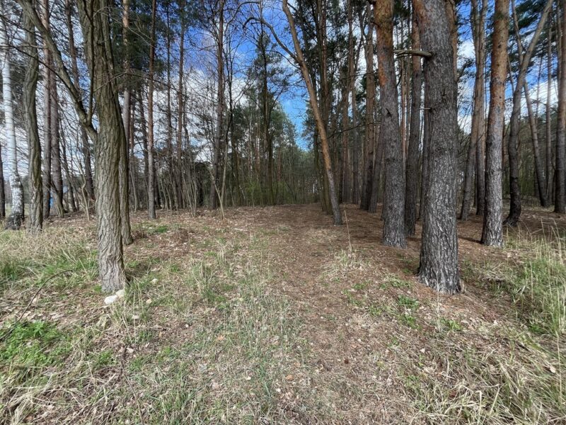 Atrakcyjna działka 2618 m2 w Oblasach-Księżę. - OBLASY, LUBELSKIE na SPRZEDAŻ