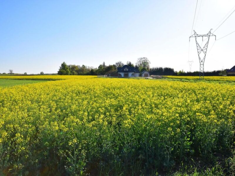 DZIAŁKA na SPRZEDAŻ, RADAWIEC MAŁY, KONOPNICA