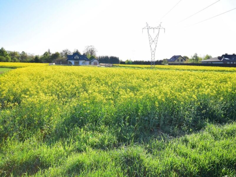 Atrakcyjne działki bud., szybki dojazd do Lublina - KONOPNICA, LUBELSKIE na SPRZEDAŻ