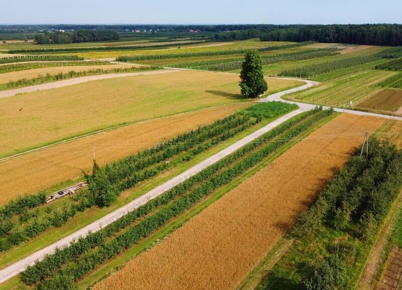 Atrakcyjne siedlisko 53 ar ziemi pod Kazimierzem - KARCZMISKA, LUBELSKIE na SPRZEDAŻ