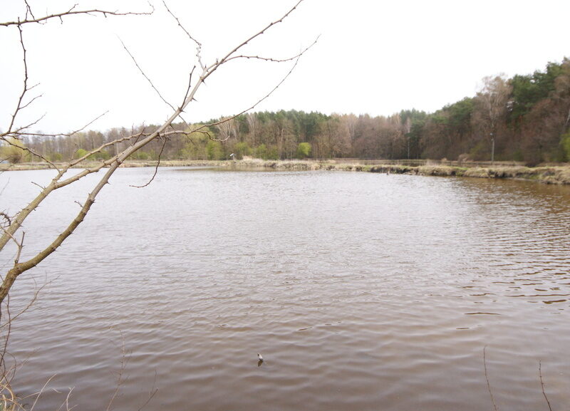 Dom, agroturystyka, stawy, 6.81ha, Lublin - LUBLIN, LUBELSKIE na SPRZEDAŻ
