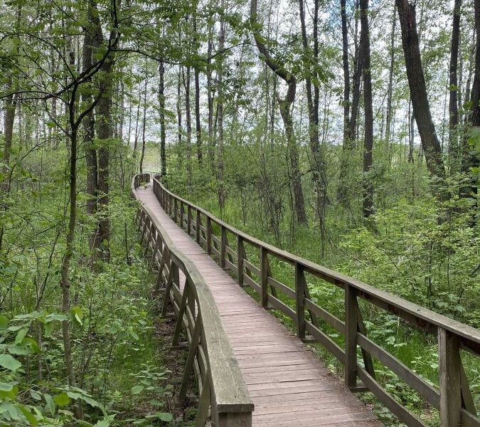 Dom letniskowy  przy Poleskim Parku Krajobrazowym - ogłoszenia
