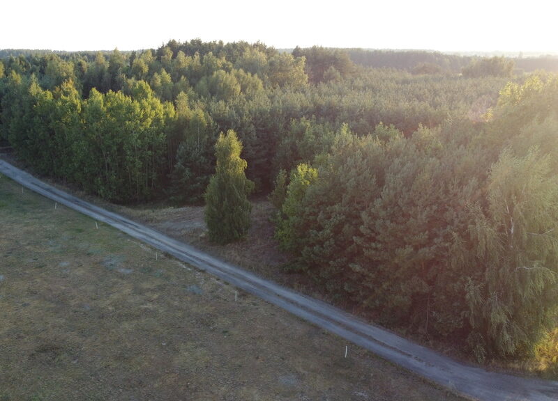 Dom na dużej działce w Świesielicach gm. Ciepielów