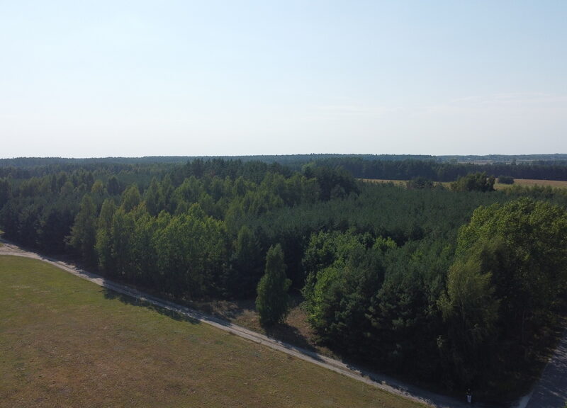 Dom na dużej działce w Świesielicach gm. Ciepielów - ŚWIESIELICE, MAZOWIECKIE na SPRZEDAŻ