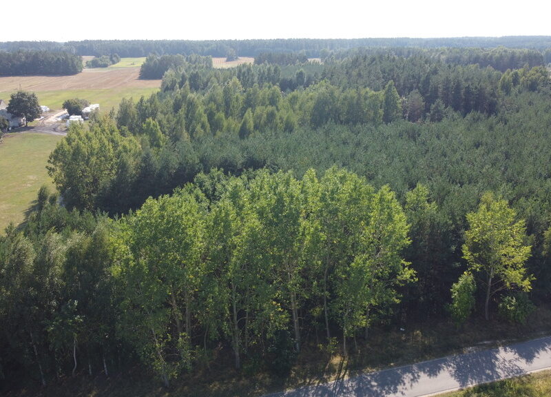 Dom na dużej działce w Świesielicach gm. Ciepielów