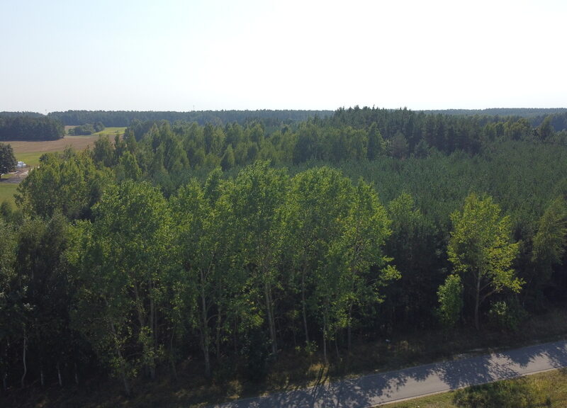 Dom na dużej działce w Świesielicach gm. Ciepielów - CIEPIELÓW, MAZOWIECKIE na SPRZEDAŻ
