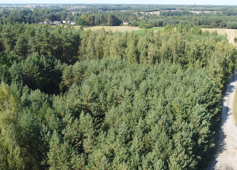 Dom na dużej działce w Świesielicach gm. Ciepielów