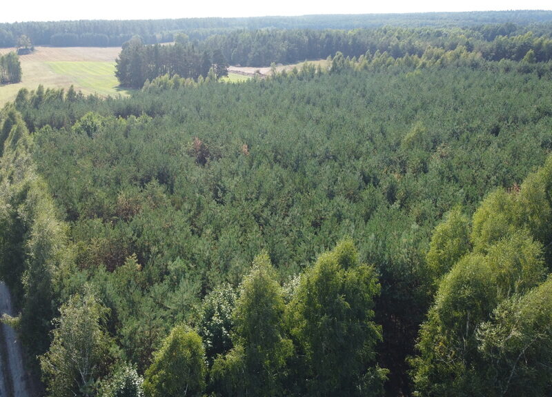 DOM na SPRZEDAŻ, ŚWIESIELICE, CIEPIELÓW