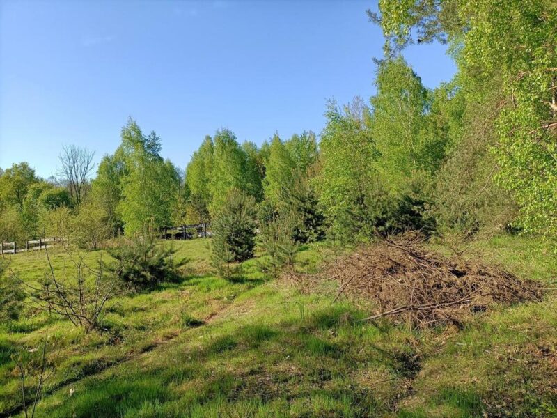 Dom na działce 4883 m2 z WZ w Gródku.